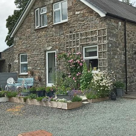 Pant Glas Barn Llanbrynmair 外观 照片