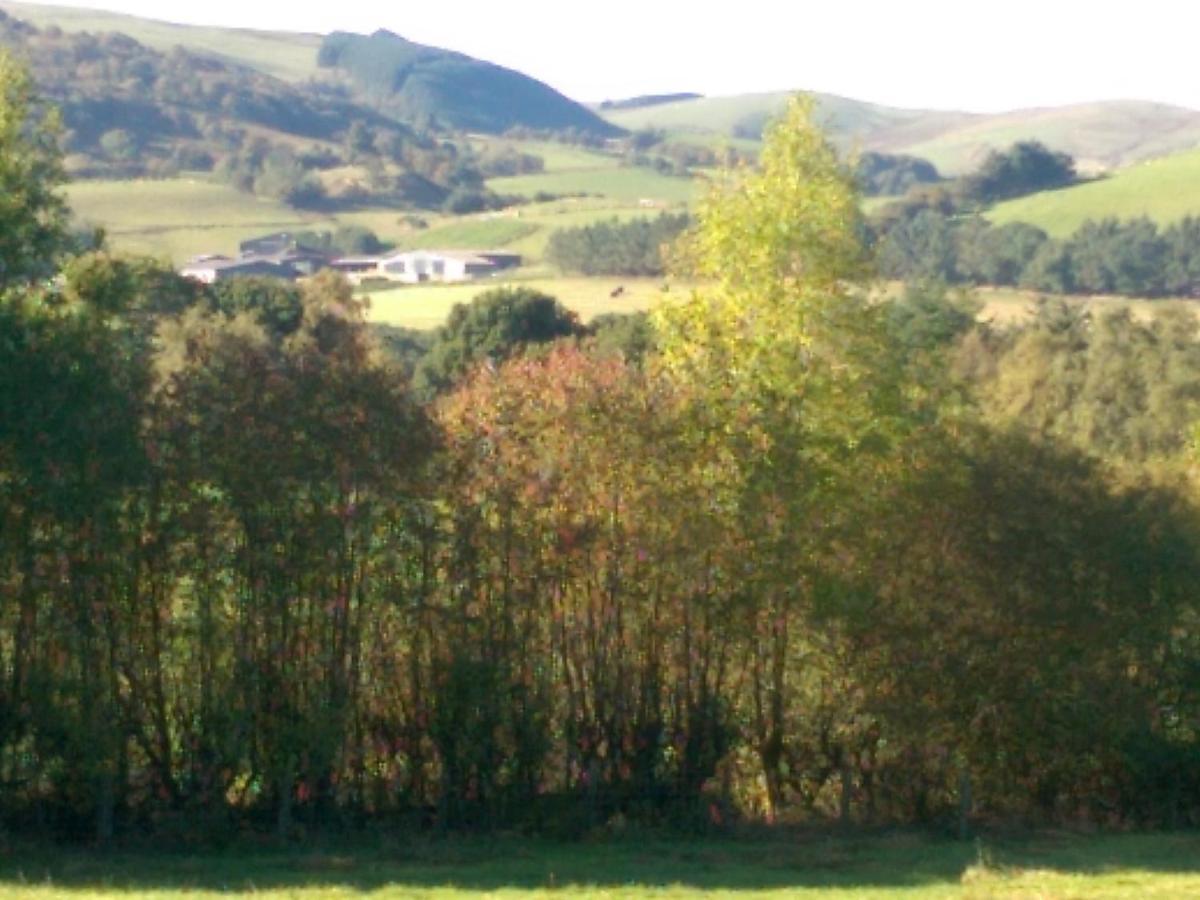 Pant Glas Barn Llanbrynmair 外观 照片
