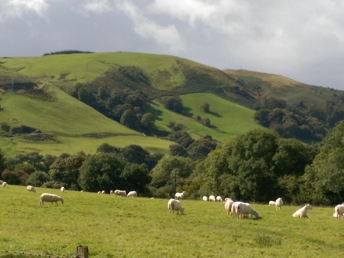 Pant Glas Barn Llanbrynmair 外观 照片