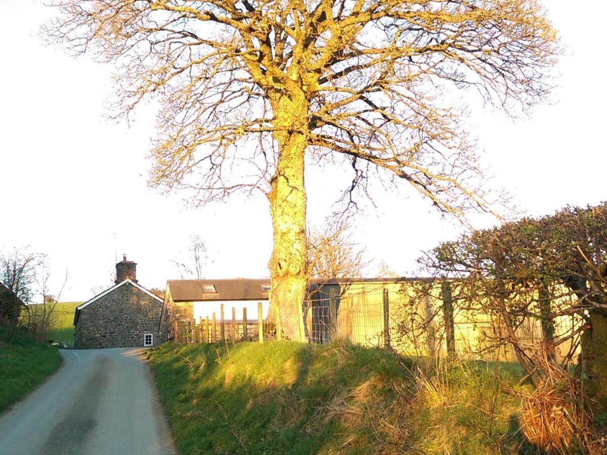 Pant Glas Barn Llanbrynmair 外观 照片