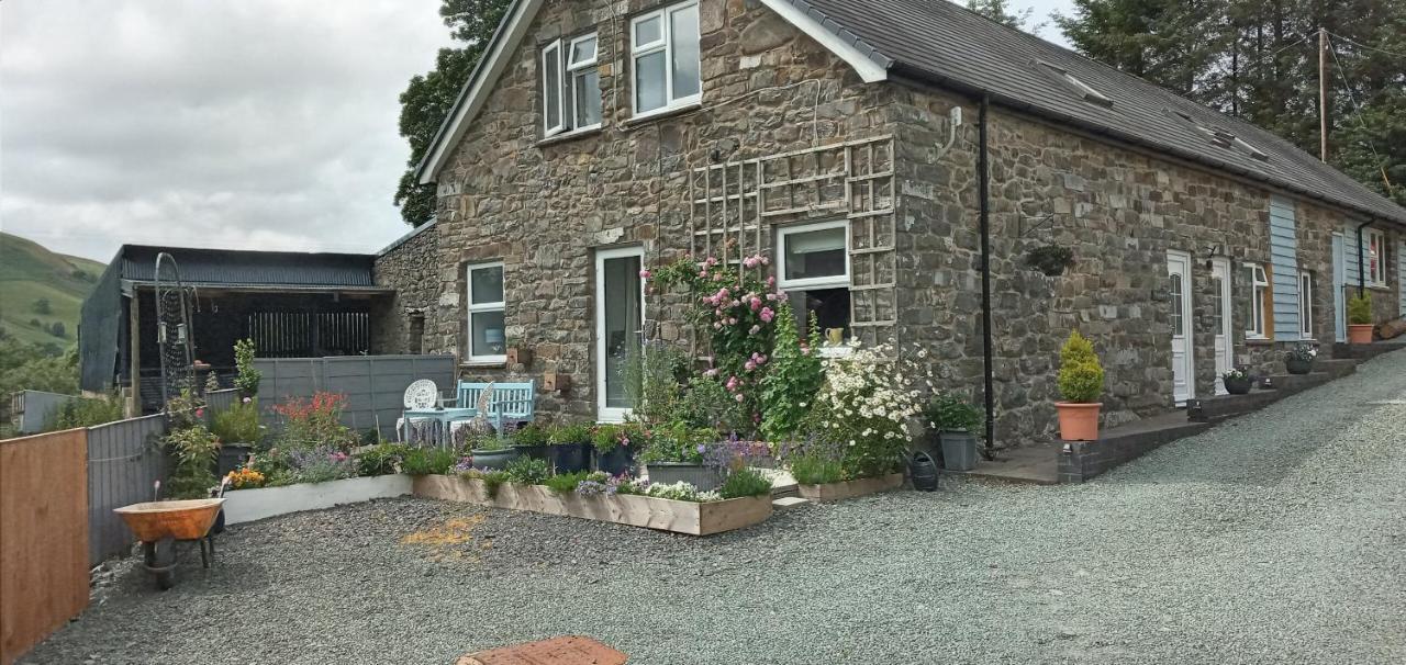 Pant Glas Barn Llanbrynmair 外观 照片